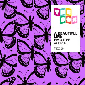 欧美另类videos高清精品
