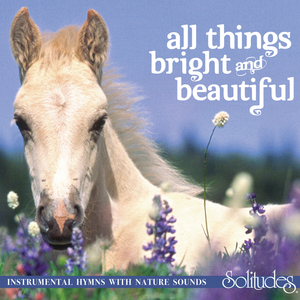 欧美另类videos高清精品
